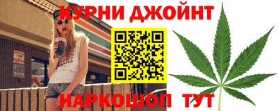 крисы Жуковский