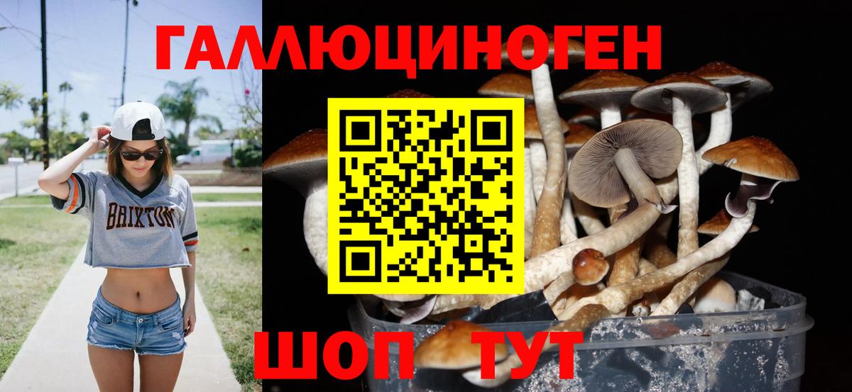 Псилоцибиновые грибы Cubensis  цены   Вход с VPN  Миллерово  Псилоцибиновые грибы GOLDEN TEACHER 